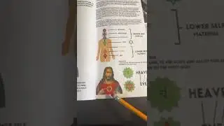 Higher Consciousness | Love | Book of Wisdom 📚❤️ #spiritualawakening Link is in the description 🔗