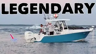 This migrational pattern makes for legendary jetty fishing!