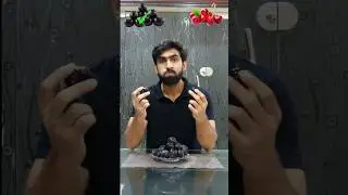 Right Left challenge black plum vs cherry 🍒