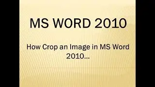 How to Crop an Image in MS Word