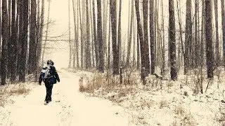 ALONE IN the WOODS not counting the dog | Hike. First snow. Real video. Without words