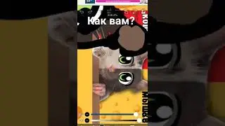 кошки-мышки