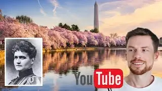 Как мечта одной женщины превратила Вашингтон в цветущий сад сакуры.