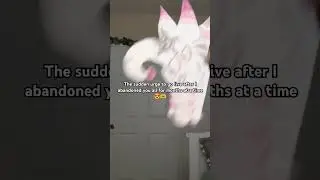 YIPPEE | #funnybunny #yippee #dragonpuppet #goinglive
