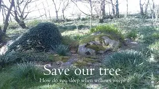 Save our tree