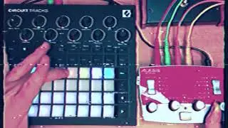 Circuit Tracks thru ModFX Bitrman (Ear Ripper)
