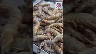 @تعرف على أسماء الأسماك البحرية و مواصفات الجودة الشرائية.