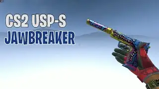 USP-S Jawbreaker (Field-Tested) | CS2 Skin Showcase 