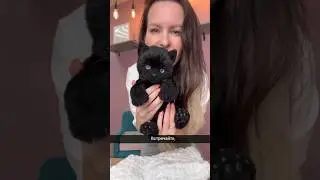Встречайте новую игрушку - черный котик😻Узнать как его сшить можно перейдя по ссылке в шапке профиля