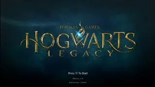 Playing Hogwarts legacy for the first time