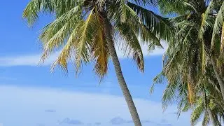 Phu Quoc Island/Vietnam-2025. Premier Best Western Hotel #2