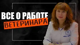 ВЕТЕРИНАР: про эвтаназию, опасных пациентов, необычные случаи