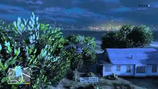 How to become a bird in Grand Theft Auto V