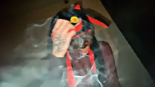 vexle - like a statue (prod. d2s1 x jusik) (official music video)