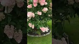 Выставка. Русский огород