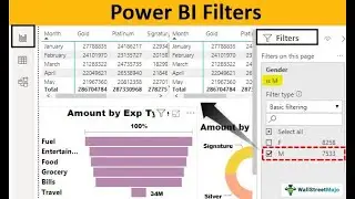 9 Types of filters in Power BI reports | PowerChennai Folks Training