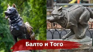 Why are Balto and Togo dogs national heroes of the USA? | The Great Race of Mercy | Rescue of Nome