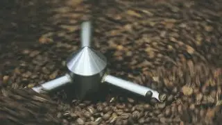 Portland Coffee Roasting Tour, Mystic Coffee & Elon Musk