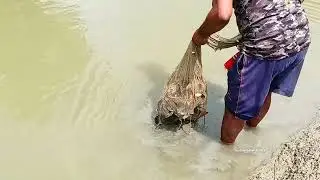 গ্রামের পুকুরে ঝাঁকি জাল দিয়ে মাছ ধরার দৃশ্য 