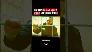 Навальный умер 1/2 