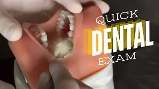 Quick Dental Exam ASMR - Latex Glove Sounds, Tapping, Scraping