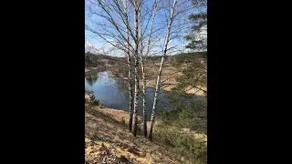 #12 || Прочитано - про кино и не только || #5мгновенийвесны