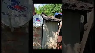 УЕХАЛИ НА ХУТОР ИЗ МОСКВЫ 