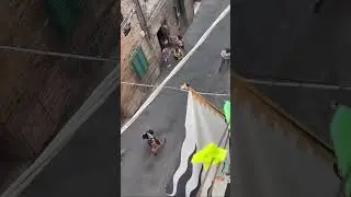 la Lupa vince il palio di agosto 2024 a Siena, la felicità tra i borghi bianco neri #paliodisiena