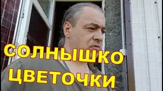 СОЛНЫШКО, ЦВЕТОЧКИ ☃️☃️ | Днепр 01.05