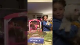 Opening a late Christmas gift!!! “Steffi Love HORSE STABLE”