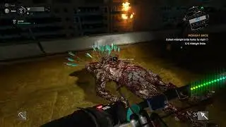violent gang shooting