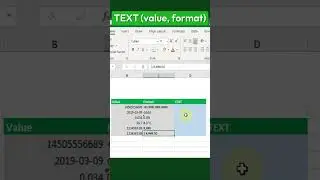 Format Numbers as TEXT with EXCEL's Powerful TEXT Function!