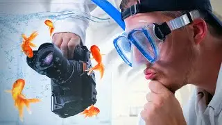 Create EPIC Seamless TRANSITIONS with a FISH TANK