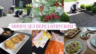 VLOG🇩🇪: WORKING AT THE PLOT/COOKING BREAKFAST 🍳 WENT TO THE STORE FOR STRAW 🐹