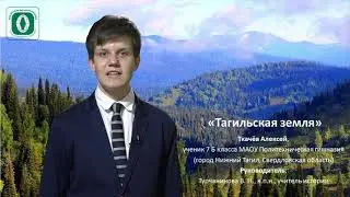 Алексей Ткачев, 