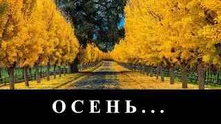гр. Спасение... 