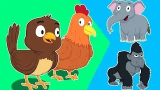 животных звук песни | образовательных видео | узнать животных звук | Animals Sound Song For Kids
