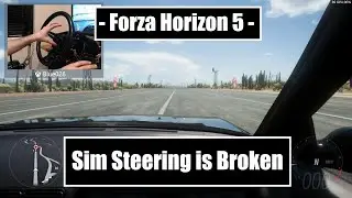 Forza Horizon 5 Simulation Steering is broken