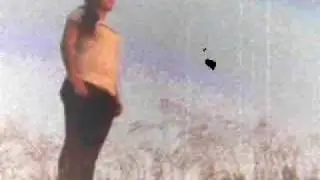 Red Summer Trailer 