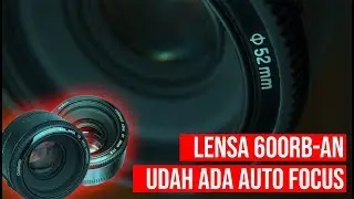 YONGNUO 50mm F1 8 | LENSA BOKEH MURAH BUAT PEMULA