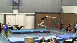 Neeke Scheers - brug