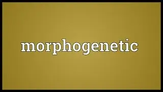 Morphogenetic Meaning
