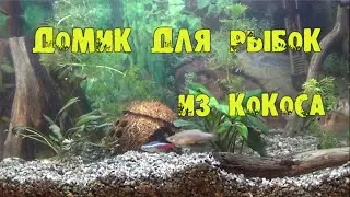 Домик для рыбок из кокосовой скорлупы своими руками.