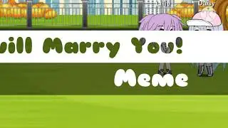 *I will marry you meme*