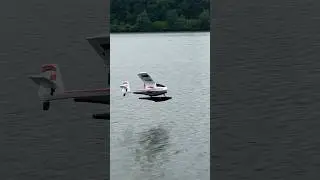Did you know there are floats for the HobbyZone Aeroscout? Aeroscout 1.1m Float Set [HBZ3811] 
