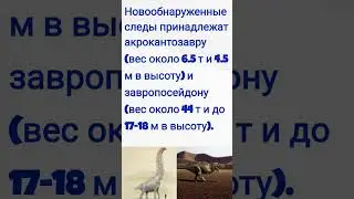 Следы динозавров в Техасе / Техас #shorts