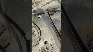 Зарисовки дня.