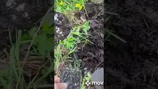 зачёт..