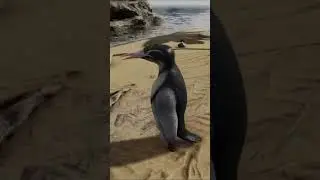How To Tame A Kairuku In Ark Survival Evolved 