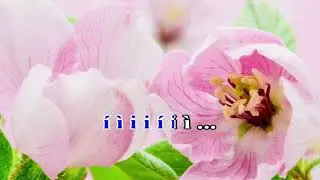 Karaoke Hát Chèo ; Chào Xuân Yêu Thương _ SL ; Hoàng Viết Thủy _ Điệu Đào Liễu